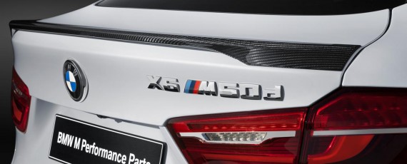 BMW X6 M Performance (07)