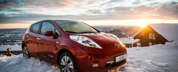 Nissan Leaf 30 kWh 2016 (05)